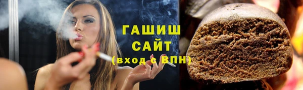 ГАЛЛЮЦИНОГЕННЫЕ ГРИБЫ Дмитриев