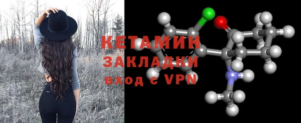 ГАЛЛЮЦИНОГЕННЫЕ ГРИБЫ Дмитриев