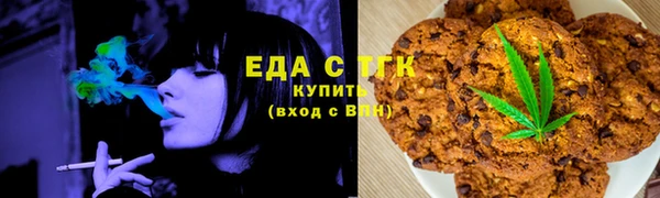 ГАЛЛЮЦИНОГЕННЫЕ ГРИБЫ Дмитриев