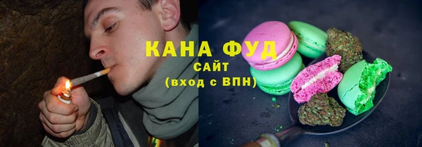 ГАЛЛЮЦИНОГЕННЫЕ ГРИБЫ Дмитриев