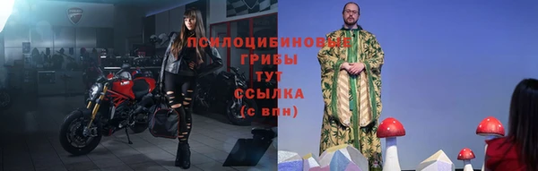 мескалин Елабуга