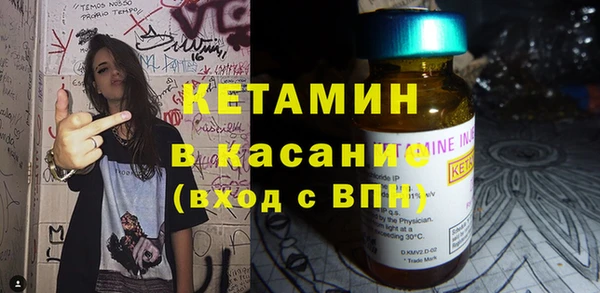 ГАЛЛЮЦИНОГЕННЫЕ ГРИБЫ Дмитриев