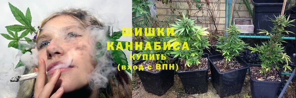 винт Дмитров