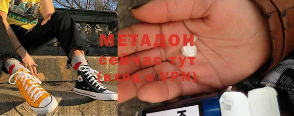 ГАЛЛЮЦИНОГЕННЫЕ ГРИБЫ Дмитриев